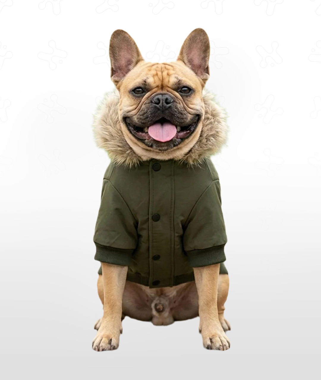 Dog's Parka Jacket