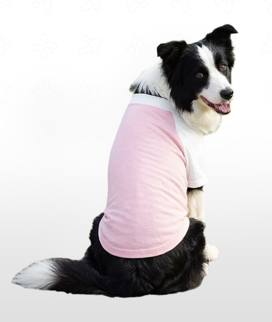 Dog's Raglan T-Shirt