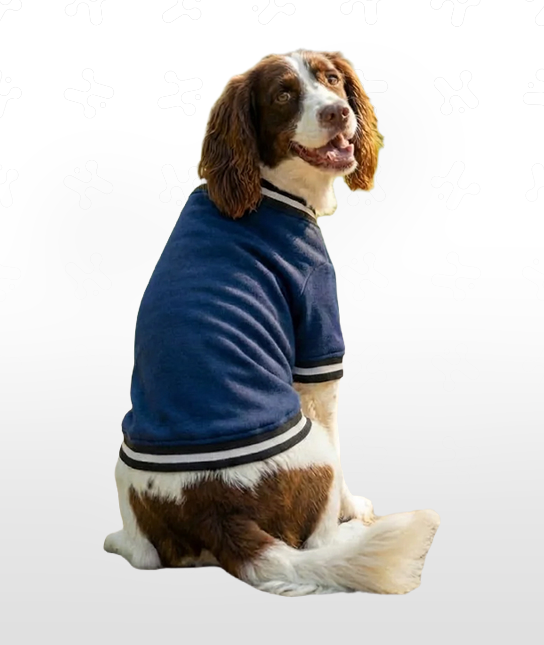 Dog's Varsity Jacket